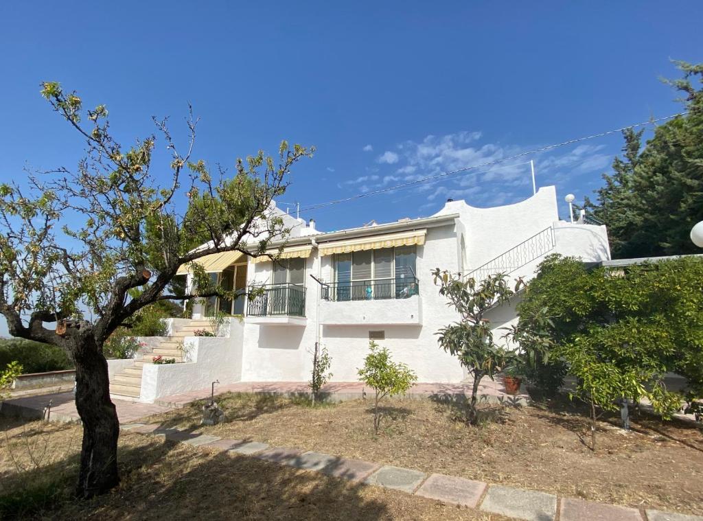 una casa blanca con un árbol delante en Yogargano, en Monte SantʼAngelo