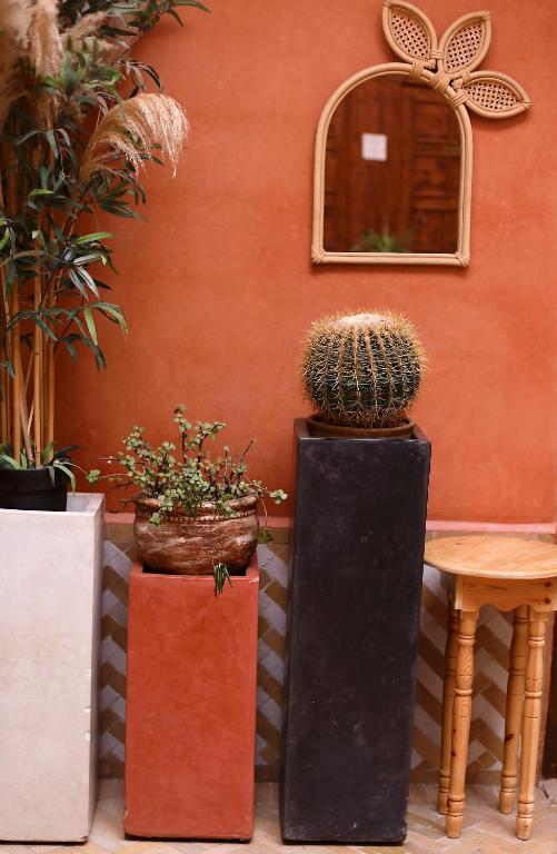 Fotografie z fotogalerie ubytování Riad Ambre et Jasmin v Marrákéši
