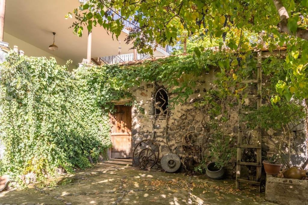Zahrada ubytování Guesthouse in the Art space