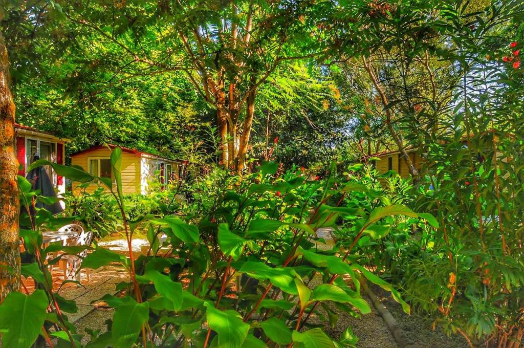 International Glamping Lago Di Bracciano - Estándar De Casa Móvil