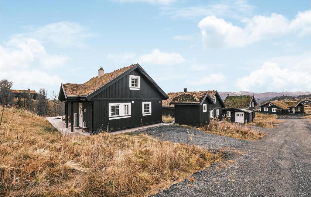 una casa negra al lado de una carretera en Stunning Home In Rauland With Wifi, en Rauland