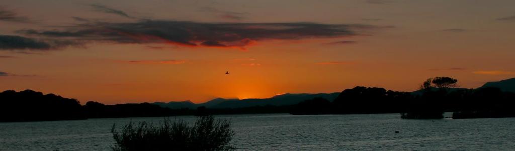 Eviston House Hotel - Resim 33