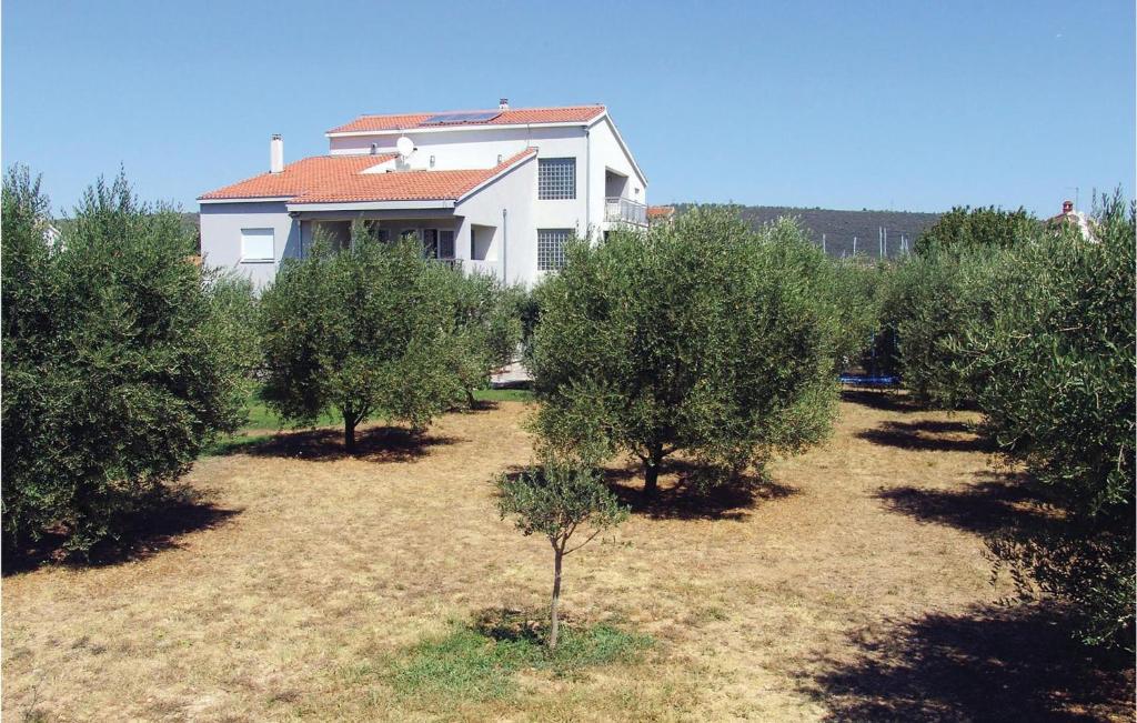 Vonkajšia záhrada v ubytovaní Apartment Bibinje Tezacki Put Iv
