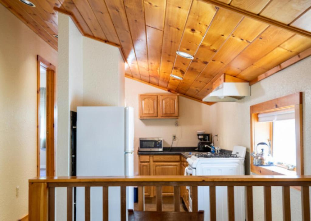 Kuchyň nebo kuchyňský kout v ubytování Phoenicia Lodge