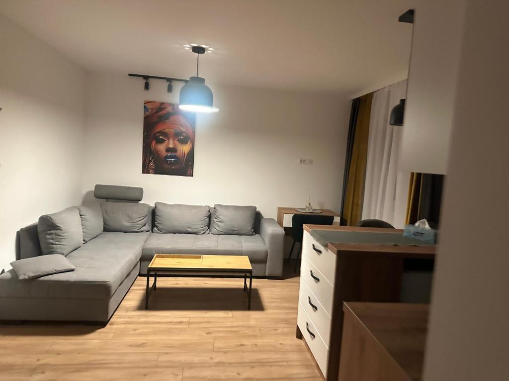 Posezení v ubytování Apartament 1 Cameră Suceava