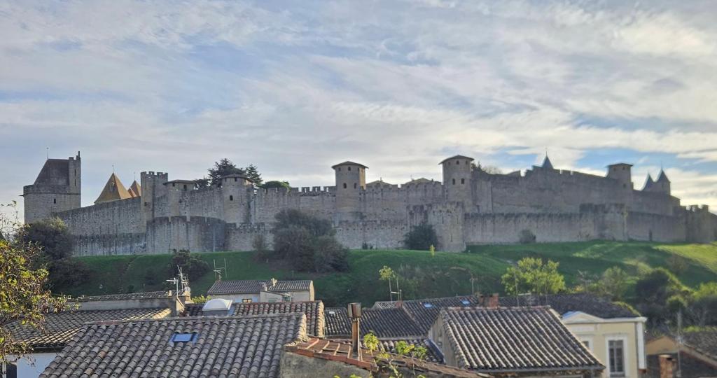Vue Cité Médiévale Castel View 4
