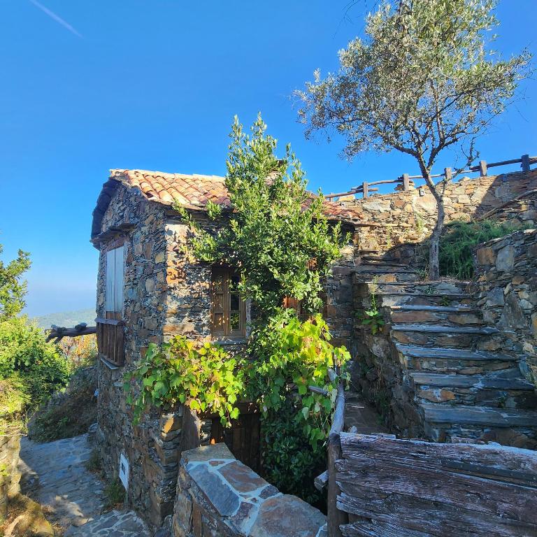 uma antiga casa de pedra com escadas e uma árvore em Casa da Pedra em Talasnal