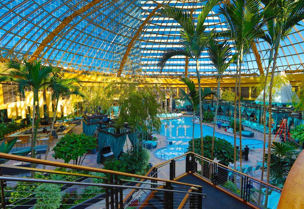 Bazén v ubytování Harrah's Resort Atlantic City Hotel & Casino nebo v jeho okolí