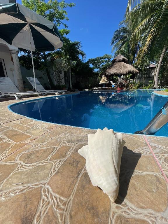 Bazén v ubytování Casamaya Hostel & Diving nebo v jeho okolí