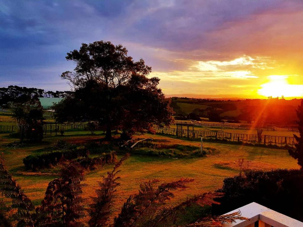 Holiday house in totara park - Resim 17