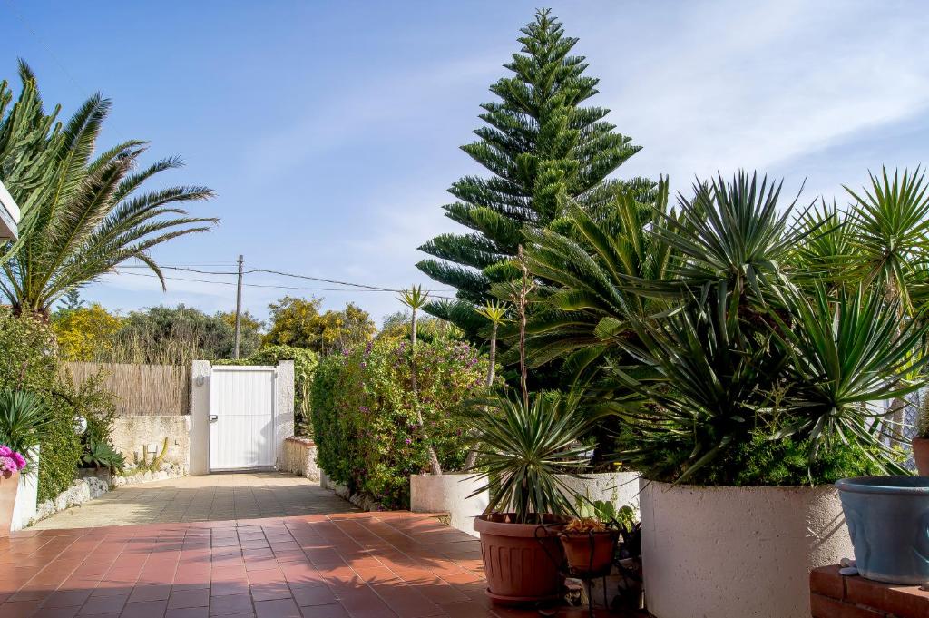 Vonkajšia záhrada v ubytovaní Villa Cetta B&B