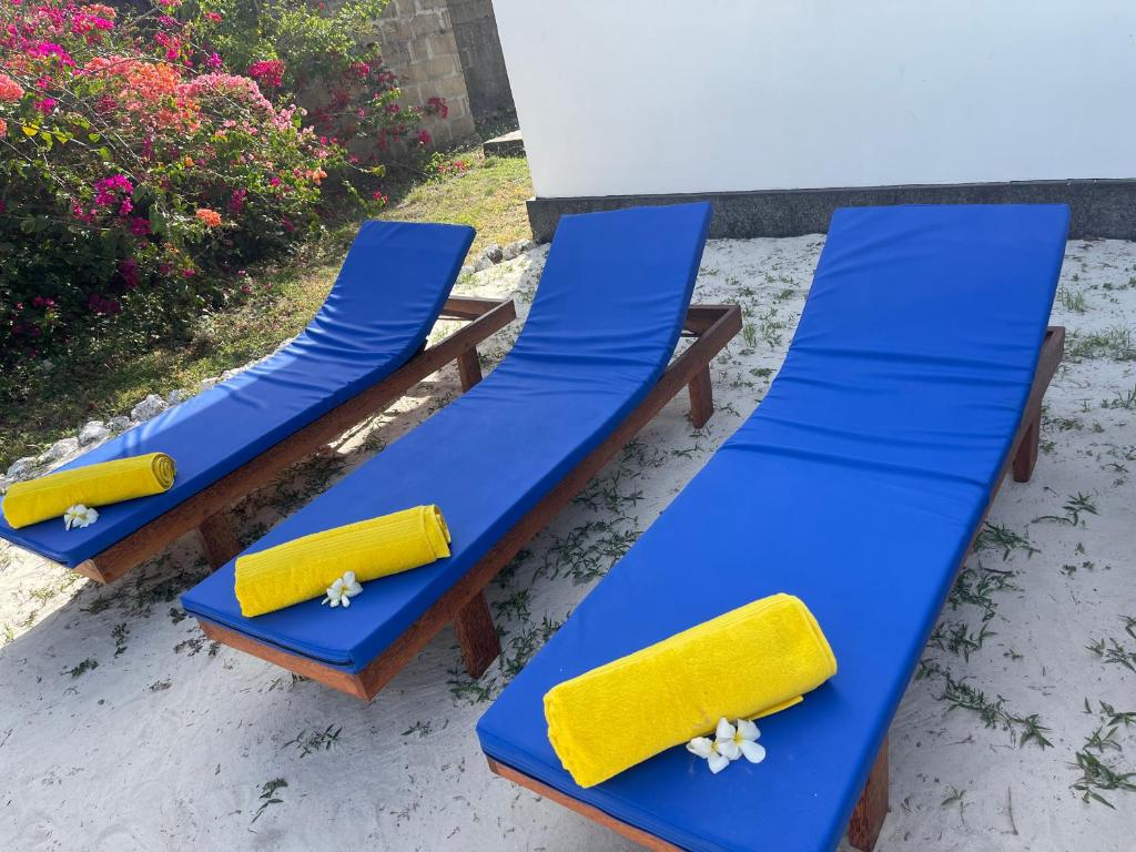 Fotografie z fotogalerie ubytování Paje Hostel v destinaci Zanzibar City