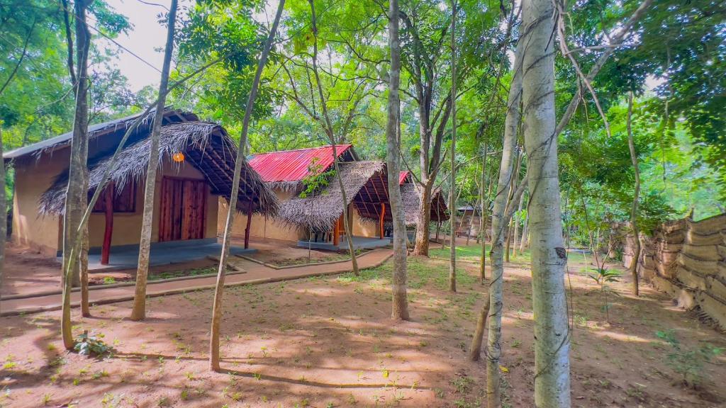 Jungle Host Hostel And Tree House - 12