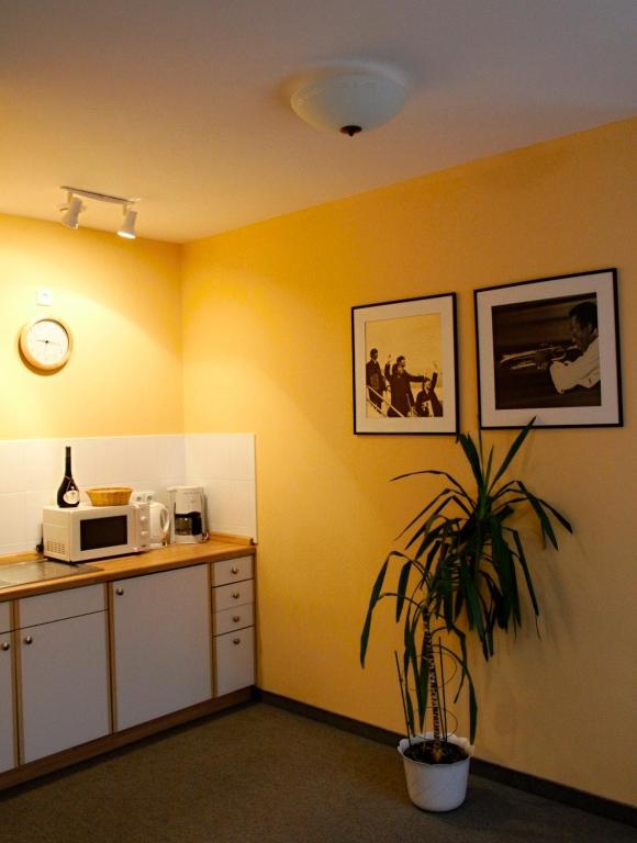 Kuchnia lub aneks kuchenny w obiekcie Apartmany Cesky Dvur