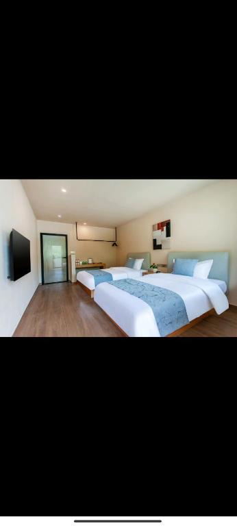 甘孜Kangding Zhuji Villa Designer View B&B的一间卧室，配有两张床和一台平板电视