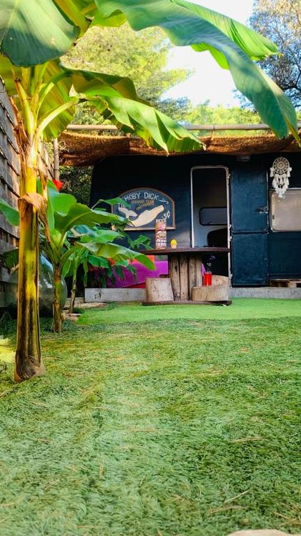 un bâtiment bleu avec un arbre devant lui dans l'établissement Logement indépendant avec parking dans un quartier de standing proche de la plage, aux Lecques