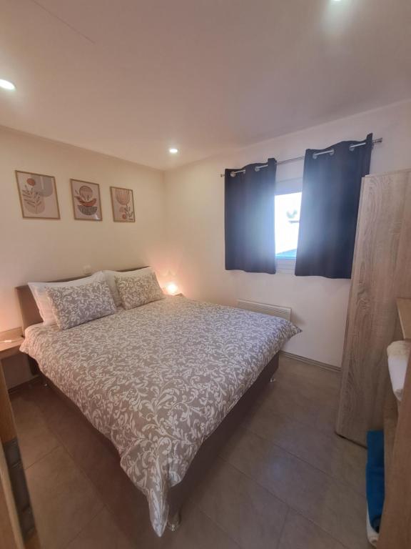 um quarto com uma cama e uma janela com cortinas azuis em Apartma Anci em Prosenjakovci