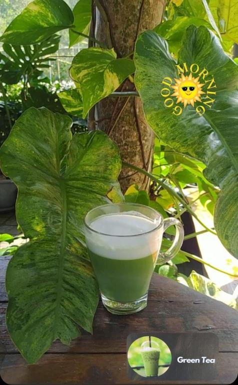 kohkoodfarmstay - 13