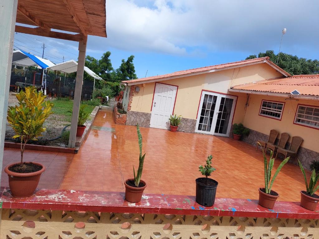 Mi Hogar Julianadorp Updated Prices 2026