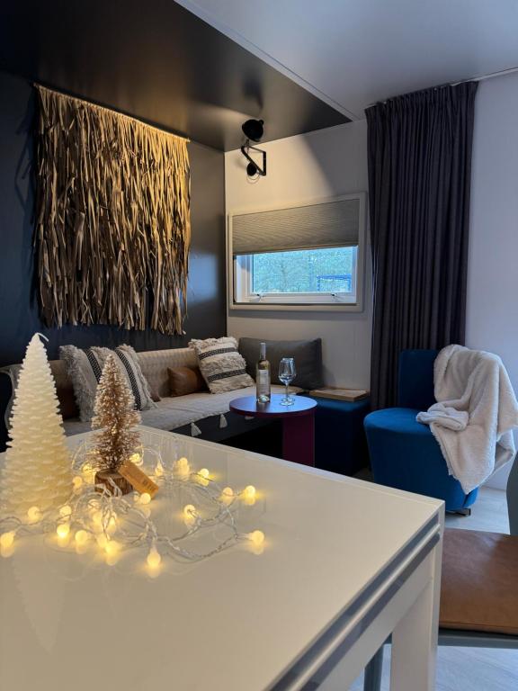 Posezení v ubytování Chalet 3 slaapkamers Oasis 19