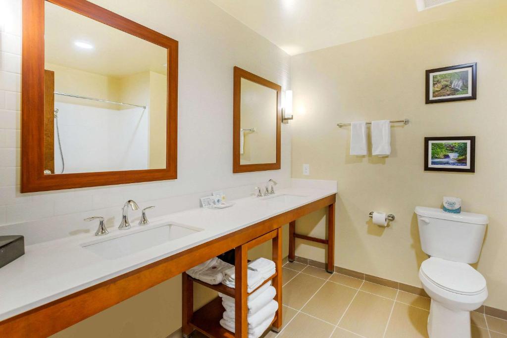 Ein Badezimmer in der Unterkunft Comfort Suites Burlington near I-5