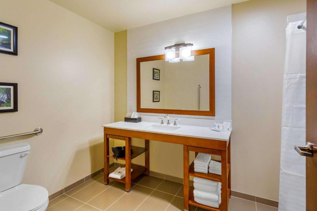 Ein Badezimmer in der Unterkunft Comfort Suites Burlington near I-5