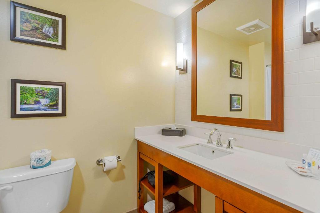 Ein Badezimmer in der Unterkunft Comfort Suites Burlington near I-5