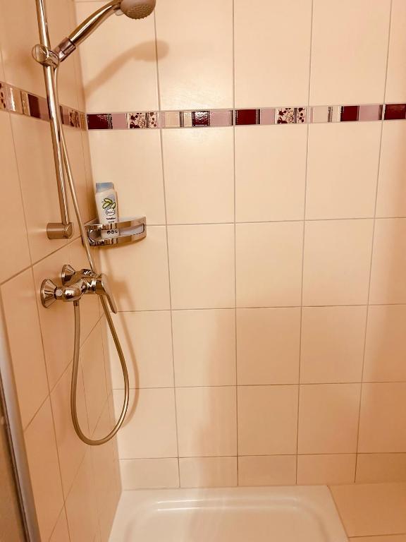 Apartments Maxim - 11