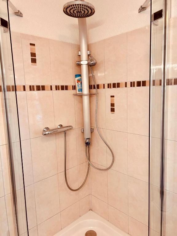 Apartments Maxim - 10