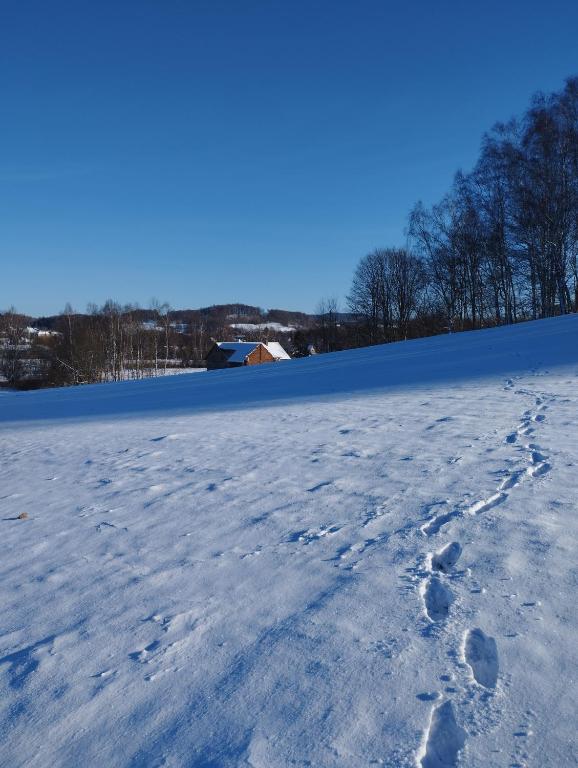 Zimmerův Statek v zimě