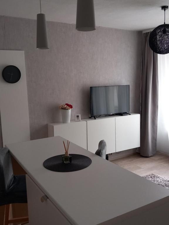 TV a/nebo společenská místnost v ubytování Apartmány Stříbro