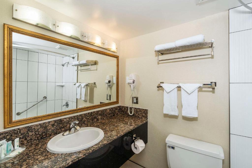 Quality Inn Downtown Inner Harbour - Resim 22