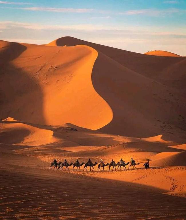 Hosté ubytování Bivouac Camel Trips