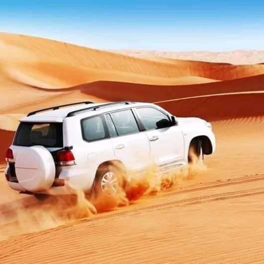 Fotografie z fotogalerie ubytování Bivouac Camel Trips v destinaci Merzouga