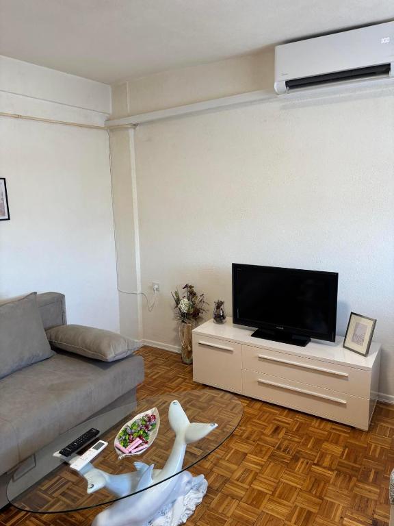 TV a/nebo společenská místnost v ubytování Apartment Banja Luka