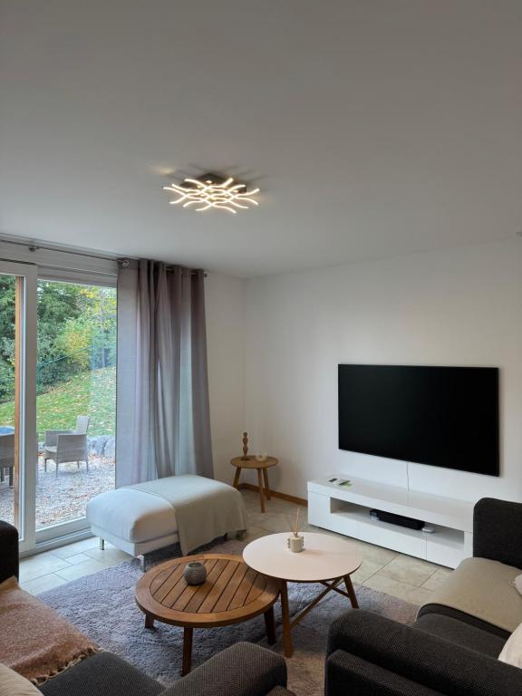 TV a/nebo společenská místnost v ubytování Superbe maison avec vue imprenable sur le lac
