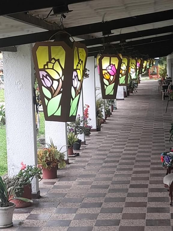 Zahrada ubytování Tacuara Hotel