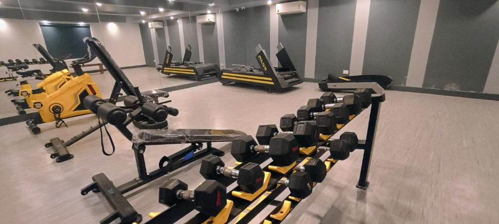 Fitness centrum a/nebo fitness zařízení v ubytování Rohm Staycations