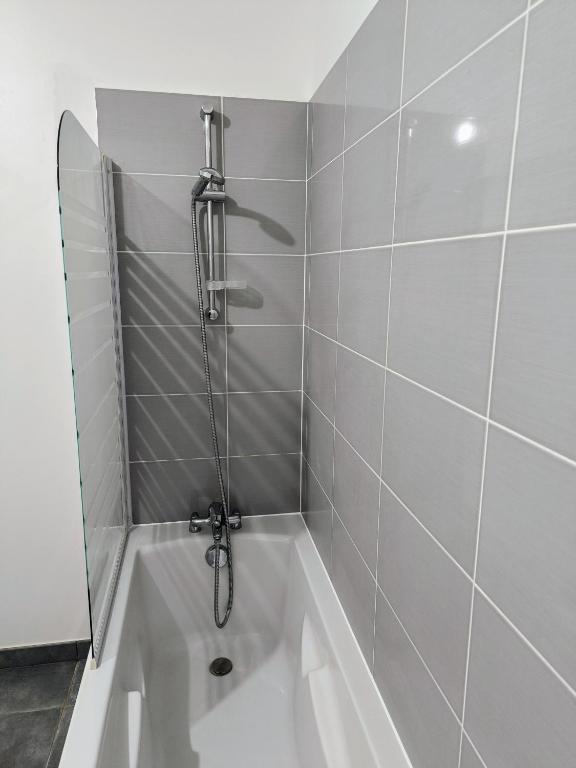 Koupelna v ubytování Appartement entier 56 m2 aux portes de Genève