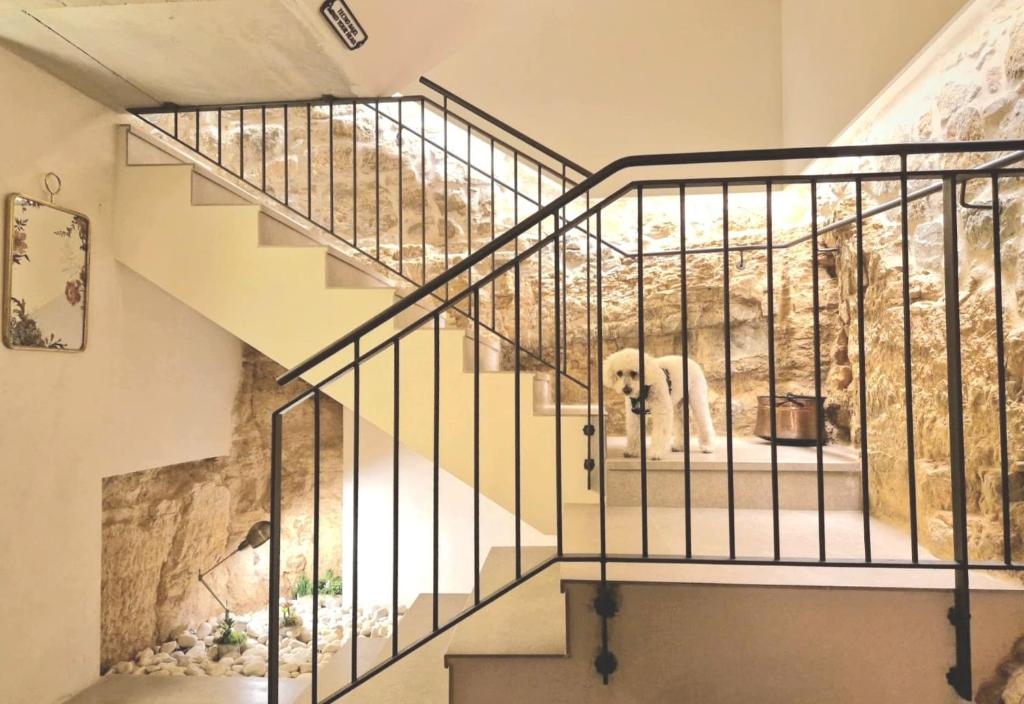Fotografie z fotogalerie ubytování Casa Rural Cal Roseto con jacuzzi v destinaci Selvanera