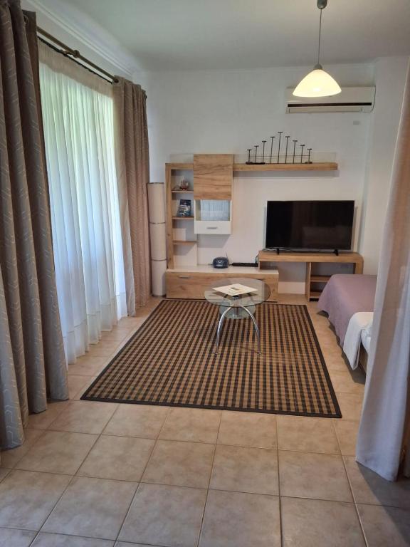TV a/nebo společenská místnost v ubytování SV Apartment with sea view