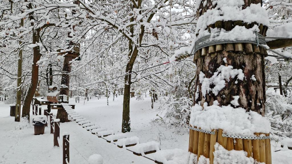 a snow covered tree in a park with trees at Zöld Relax Apartments in Budakeszi