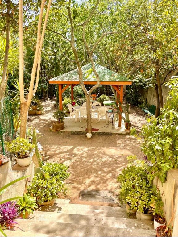 un jardin avec un kiosque, des chaises et des arbres dans l'établissement L Étoile du Sud, à Sète
