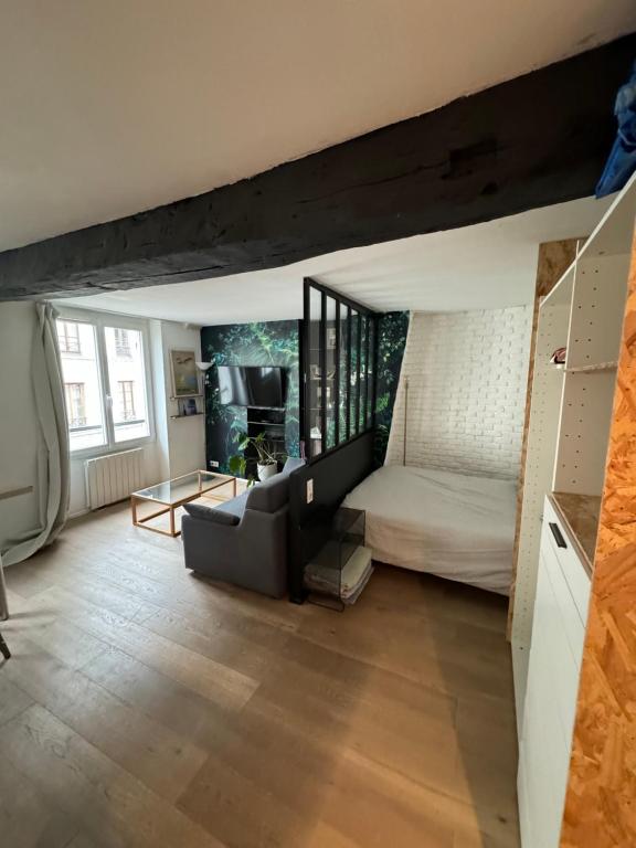 - un salon avec un canapé et un lit dans l'établissement Studio hyper centre, à Paris