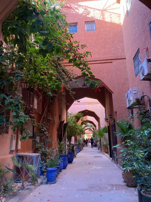 Riad Camélia — photo 8