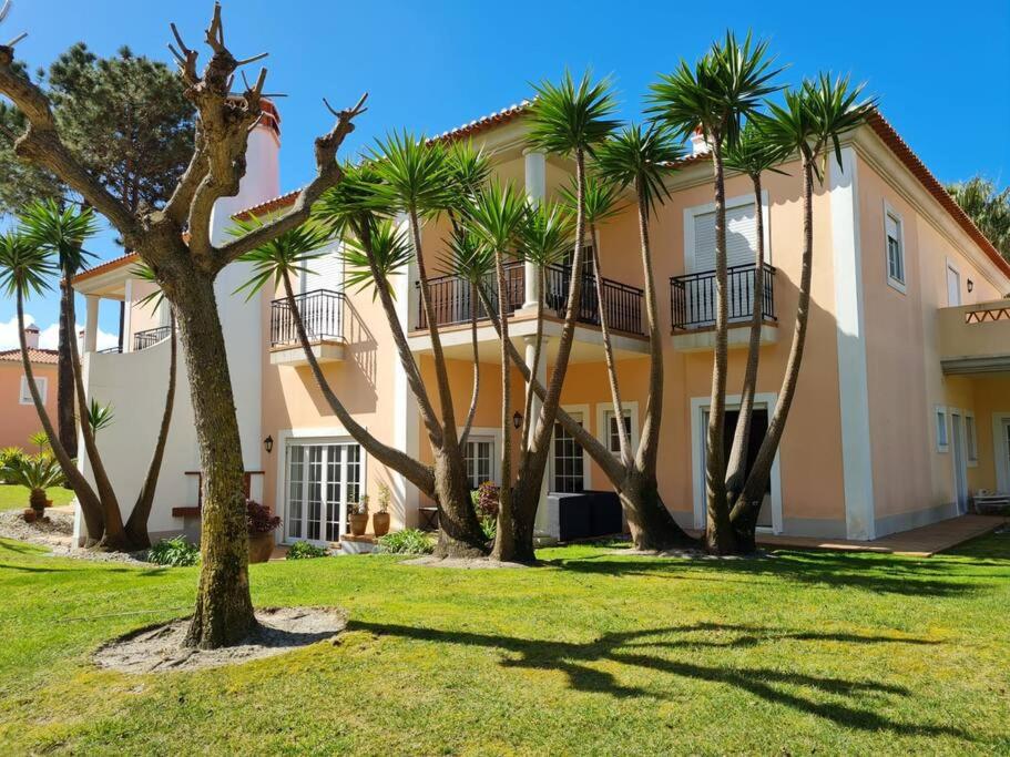 a building with palm trees in front of it at Cantinho da Carminho in Amoreira