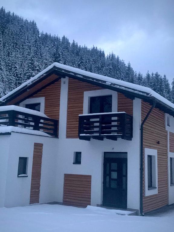 a house with snow on top of it at Cabana LaMunte in Dorna Arini