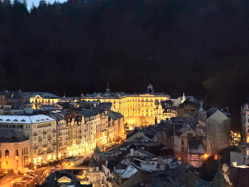 Nespecifikovaný výhled na destinaci Karlovy Vary nebo výhled na město při pohledu z apartmánu