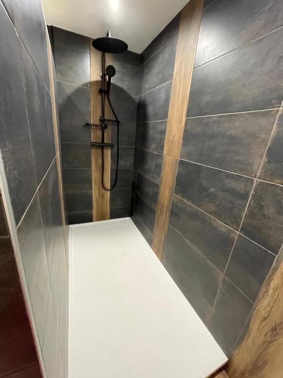 Koupelna v ubytování Appartement dans chalet 5 pièces, 14 pers, 4 ch, WiFi, jardin privé