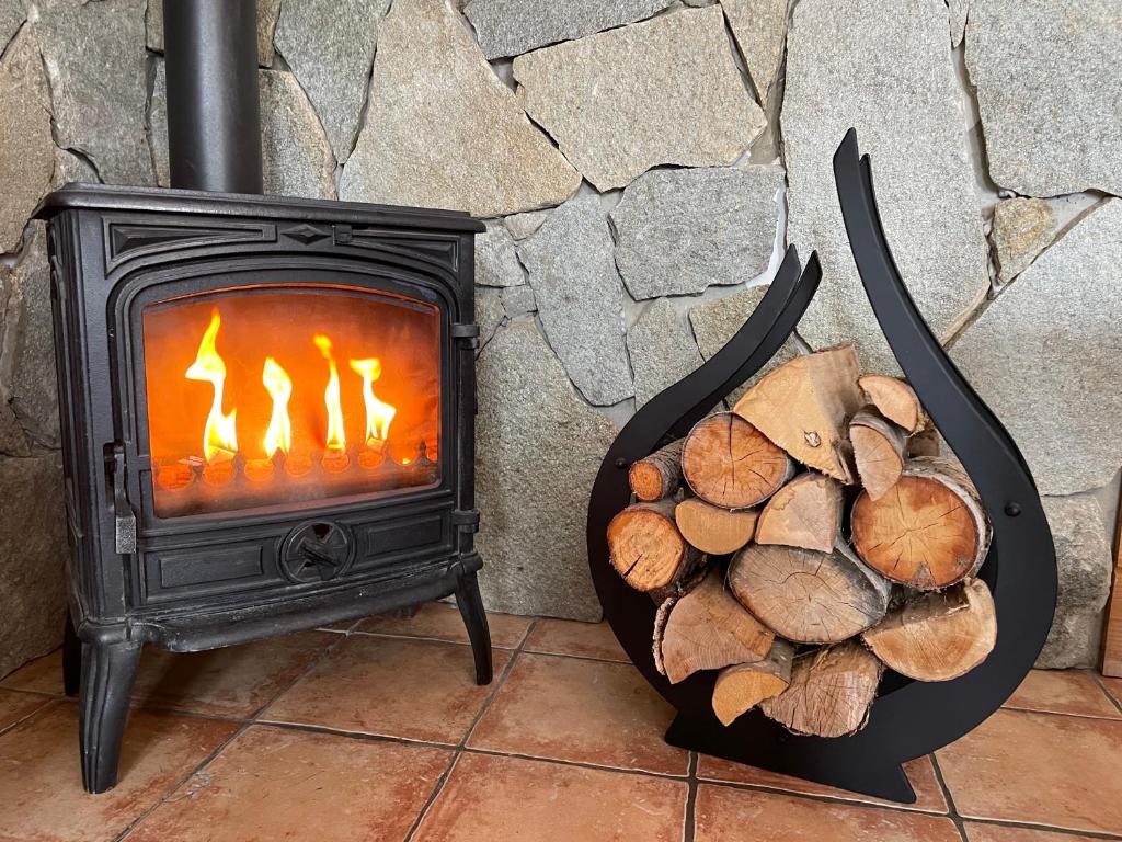 Fotografie z fotogalerie ubytování Appartement dans chalet 5 pièces, 14 pers, 4 ch, WiFi, jardin privé v destinaci Les Deux Alpes